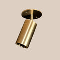 Monopoint, 1.5in Stem, 4.25in Dia Cover, Natural Brass